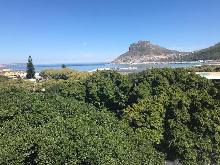 Chapman'S Peak, Loft Mit Sea-Und Mountainview Daire Hout Bay Dış mekan fotoğraf
